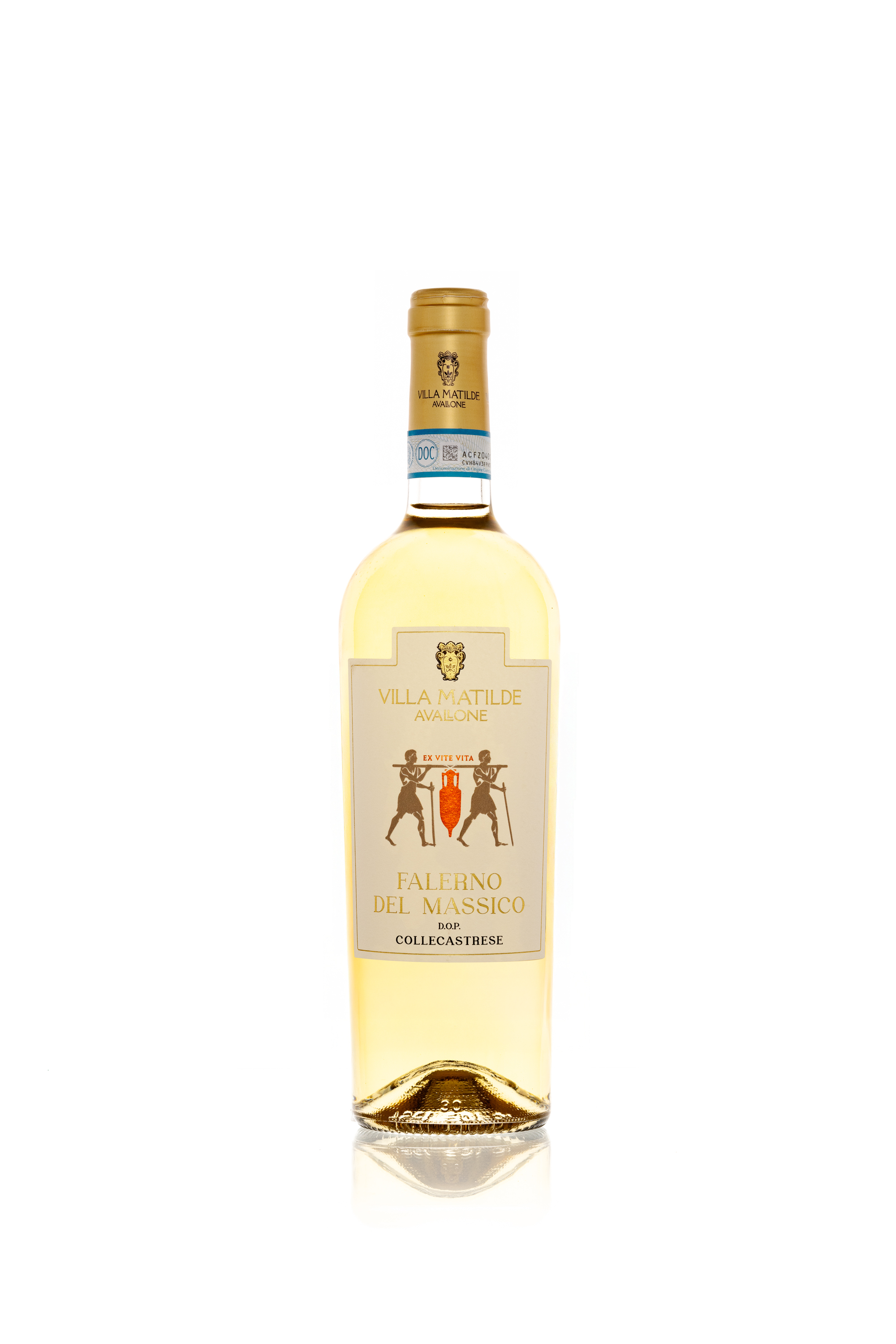 Falerno del Massico DOC 23 bianco