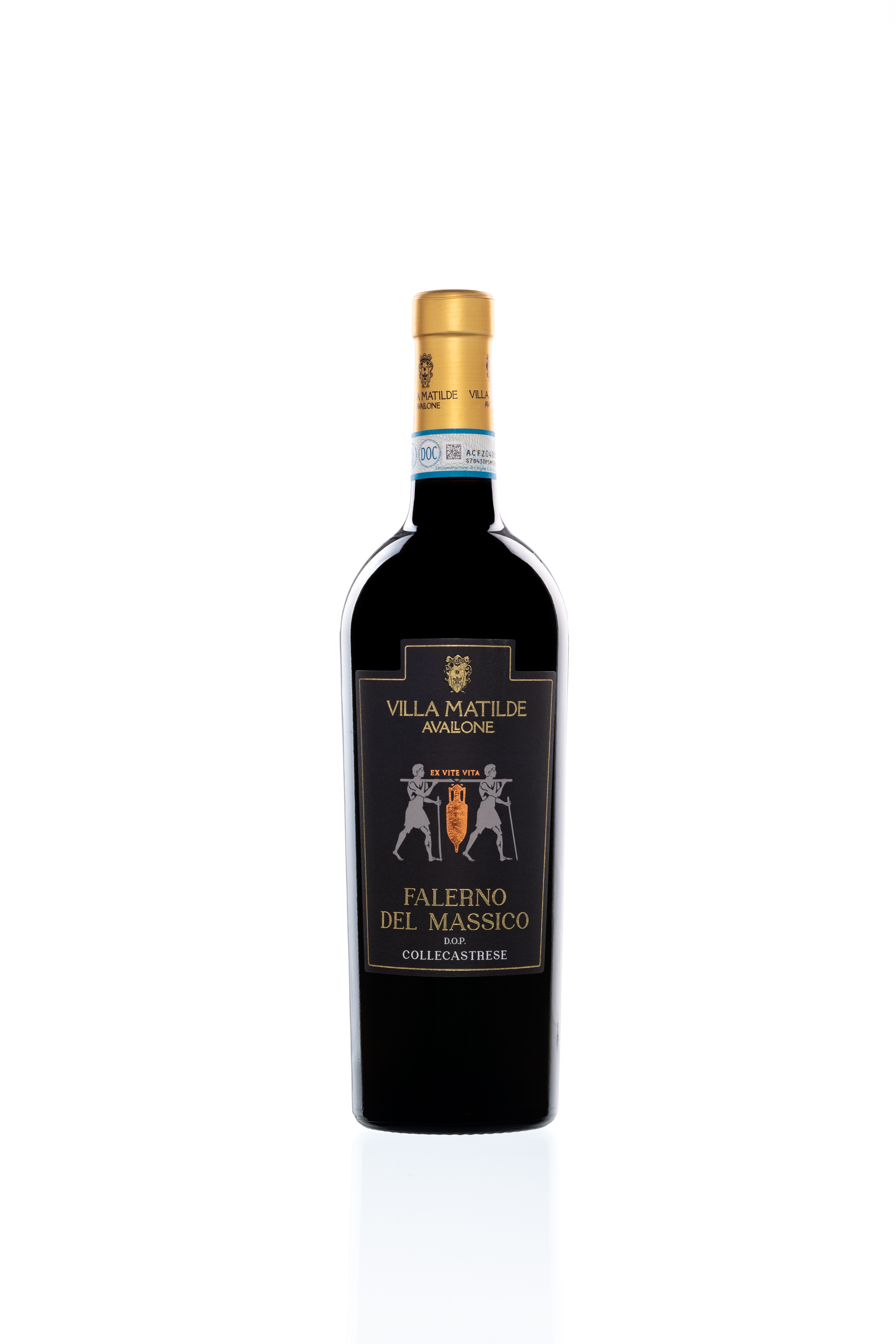 Falerno del Massico DOC 2020 Rosso