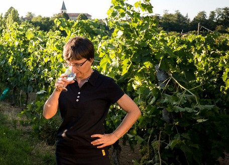 Domaine de Menard