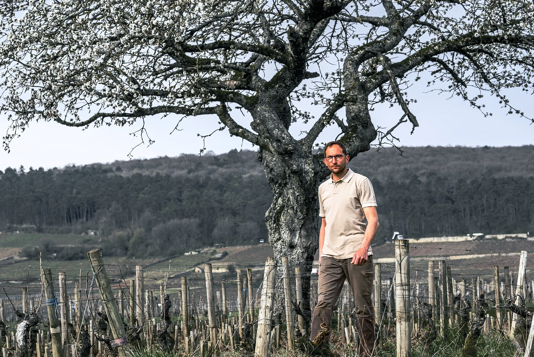 Domaine Philippe Naddef