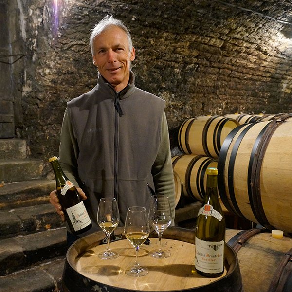 Domaine Vincent Dauvissat