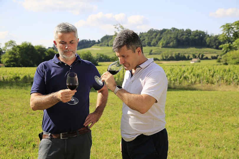Vignobles Saby