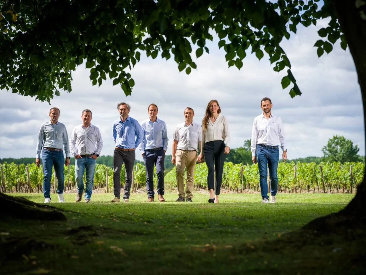 Vignobles Dourthe
