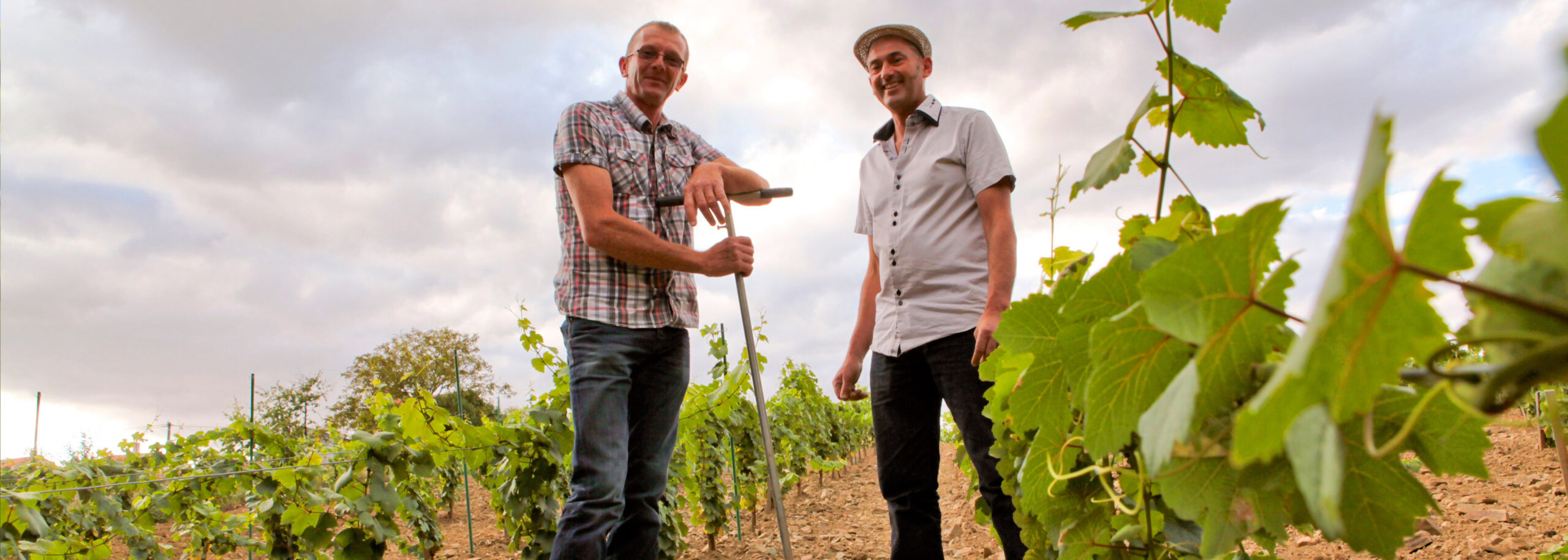Domaine Poiron Dabin